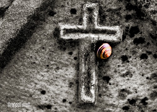 CLINGING TO FAITH