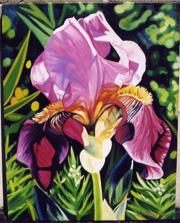 Purple Iris