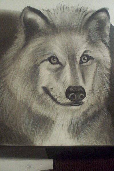 wolf..in progress!!