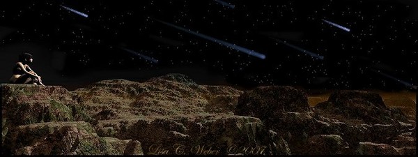 Night of The Perseids Showers 