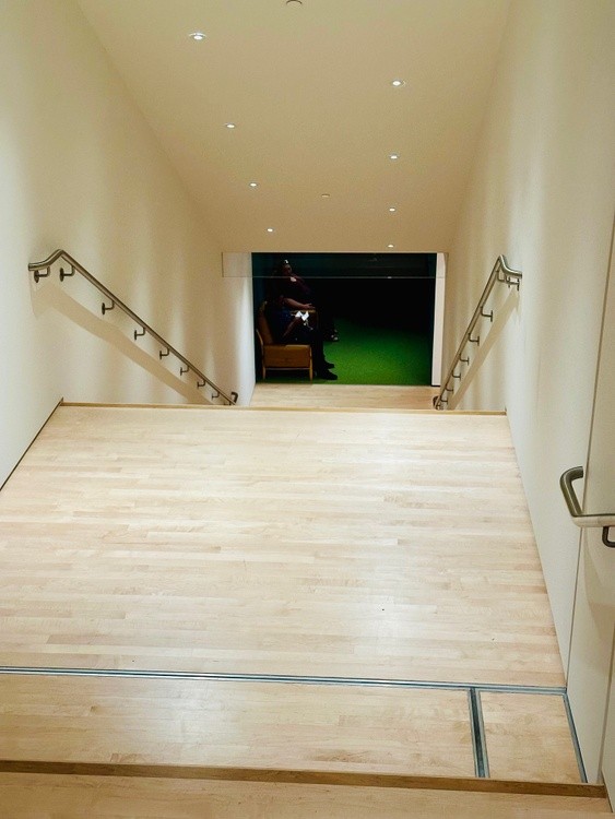 Down the Stairwell