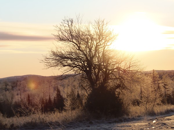 Cold December Morning