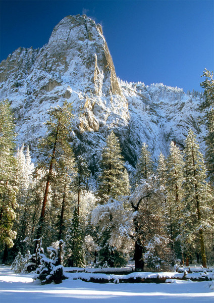 Fresh Snow on Sentinel Peak
