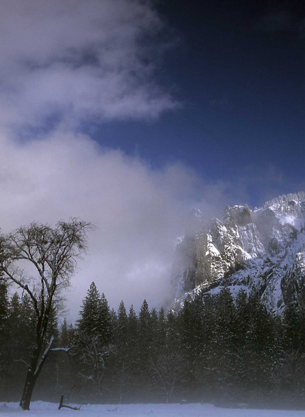 Yosemite Winter