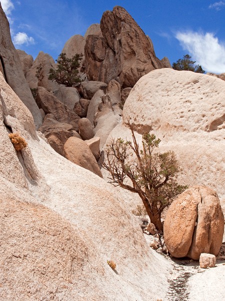 Split Boulder