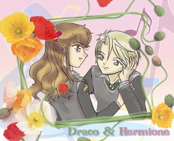 Dramione Flowerframe