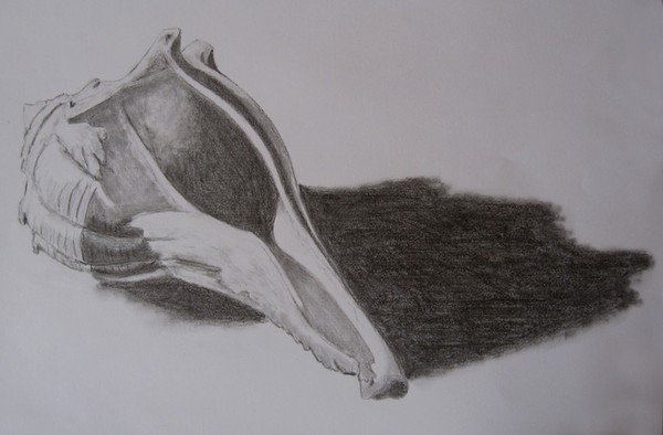 Seashell