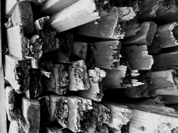 Wooden Stakes