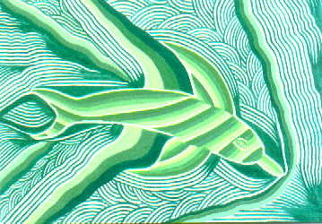 Dolphin Series.Green.