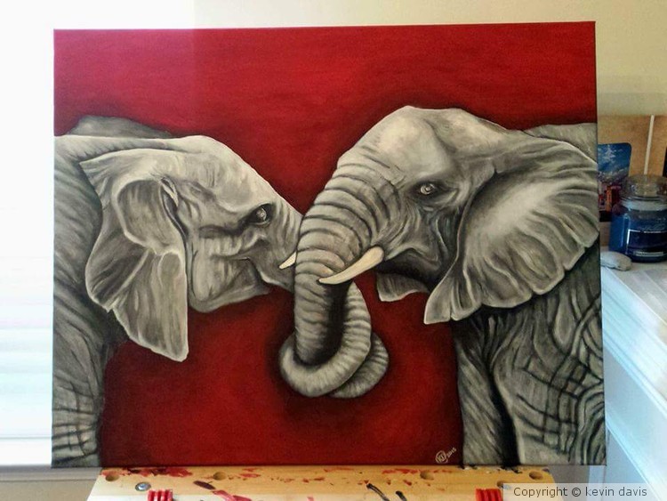 Elephant 