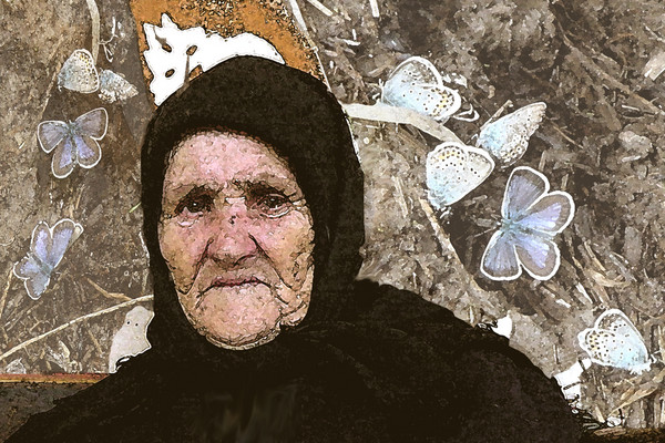 Grandmother Butterfly 