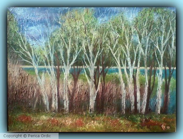 birches at Ada