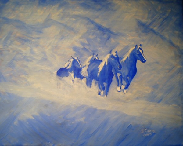 Alberta Wild Horses - The Dying Breed