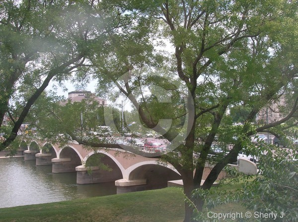 View Through The Trees