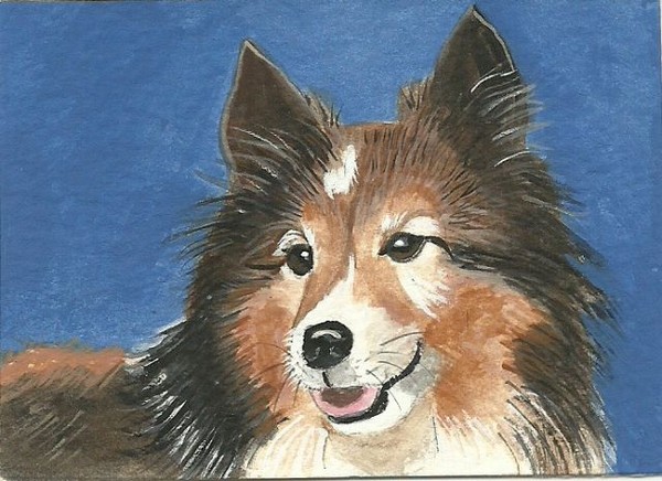 Collie