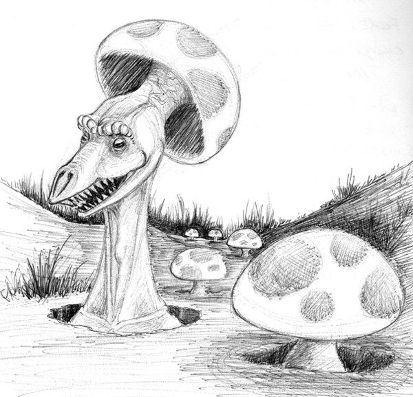 Mushroom Madness