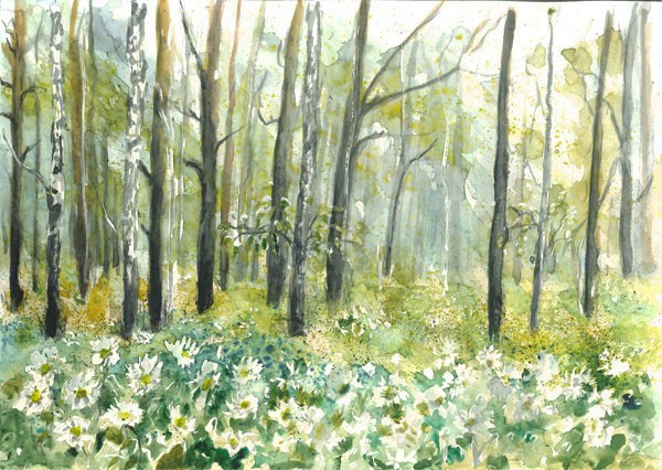 Spring forest
