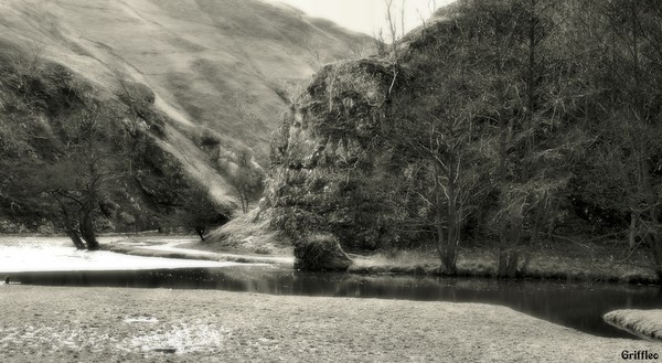 DOVEDALE # 3