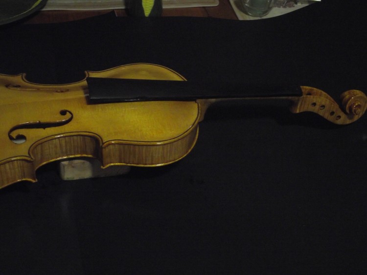 Violin Oct/17