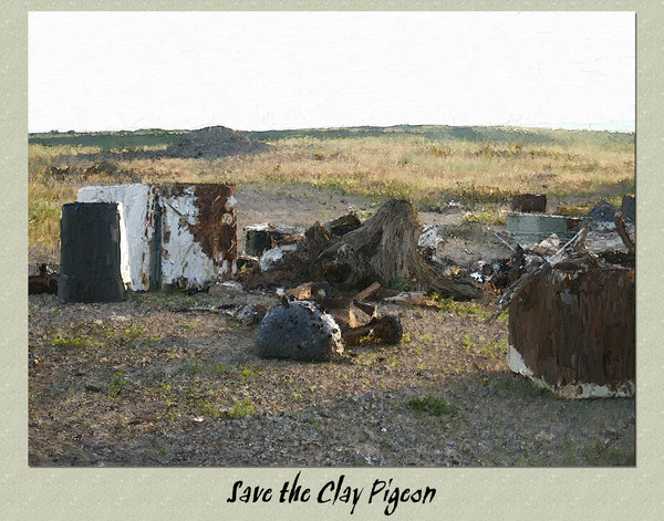 Save the Clay Pigeon