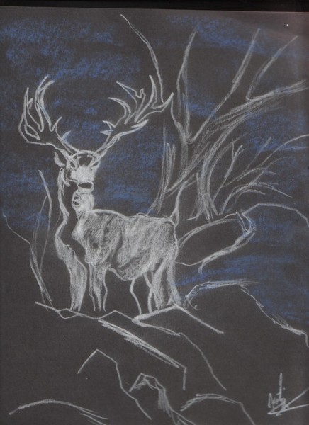 deer