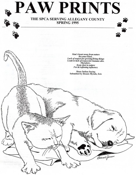 Spca sleepy pets