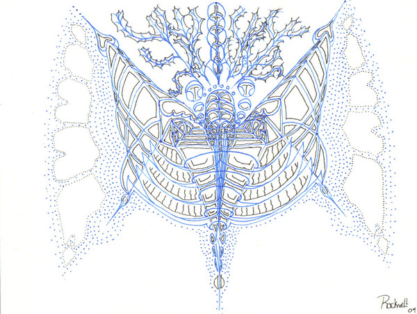 sonic butterfly
