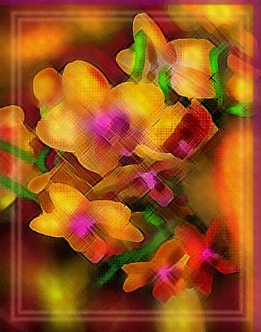 The Warmth of the Orchid Quilt