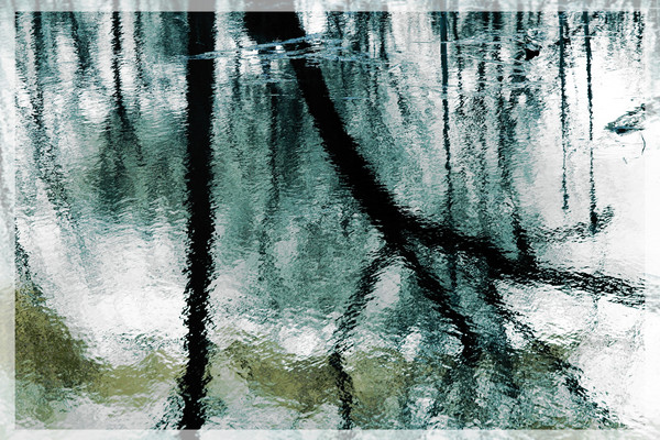 Treeflection
