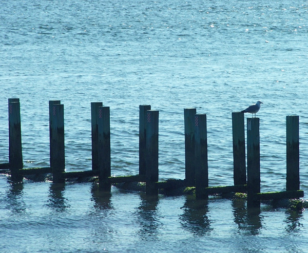 Sitting on the dock of the bay....