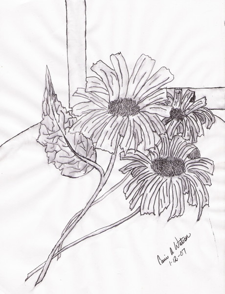 Firework Flowers