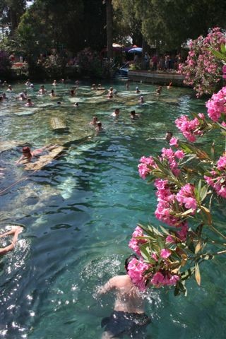 cleopatras pool