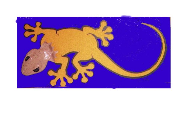 metamorfosi di un pistillone arancione 1996