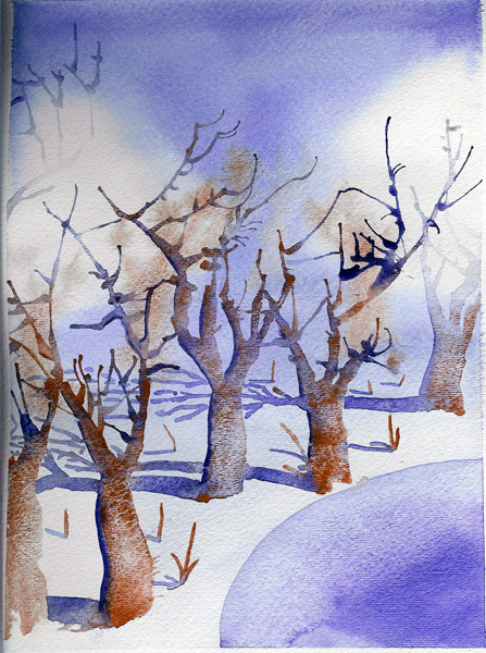 Febuaries Trees