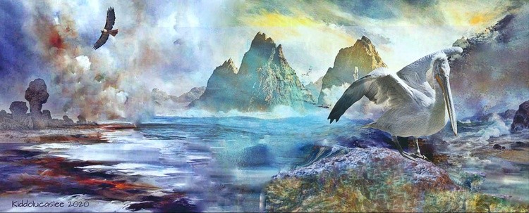 Colossal Blue Cove * 2020 Kiddolucaslee