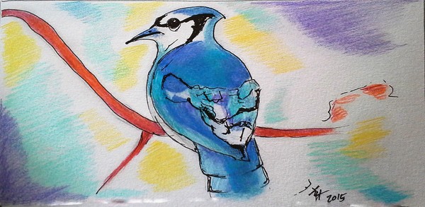 Blue Jay