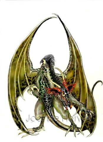 Dragon