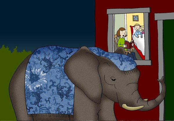 Night time elephant