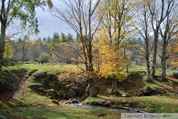 Green Gables