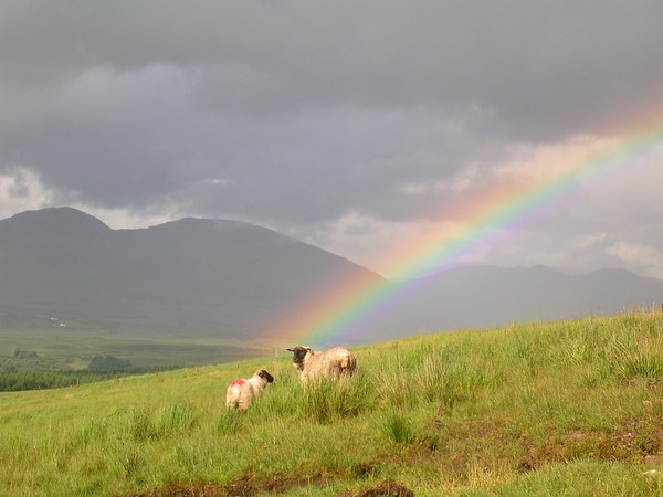 Ireland