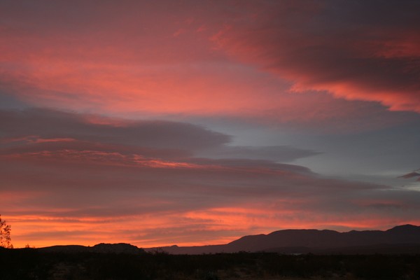 Early Morning Light S/E