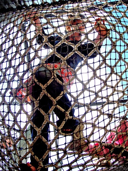 nets