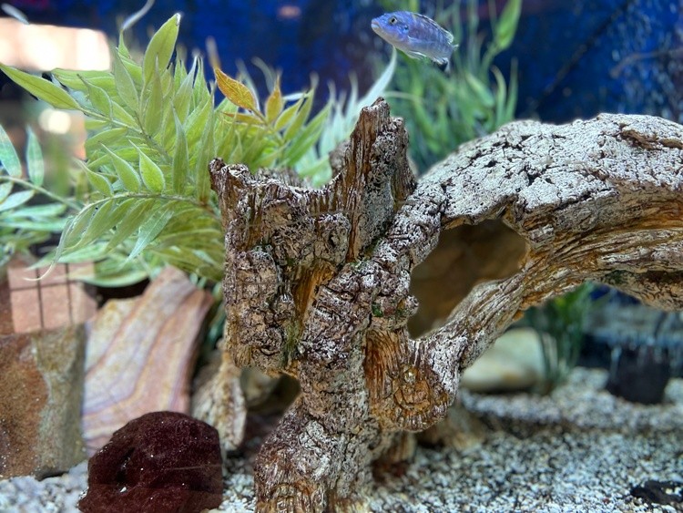 IMG 5316 Deep Waters!