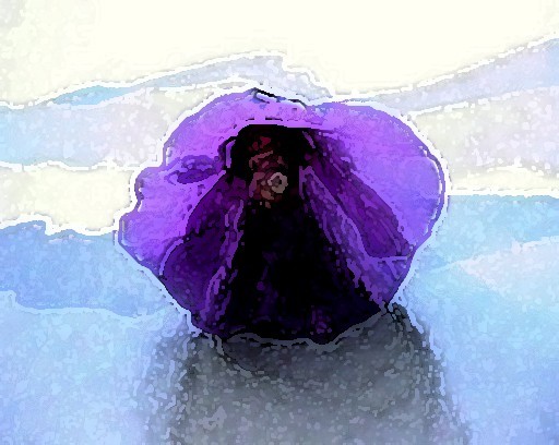 SEA BLOSSOM
