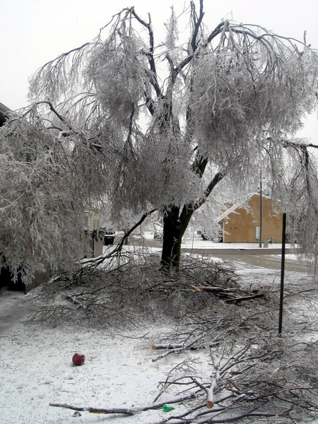 ice storm