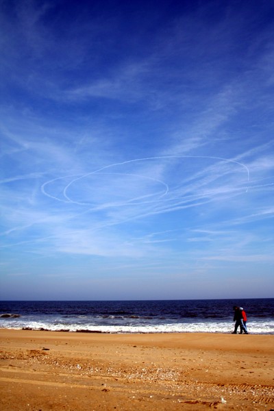 artistic pilot