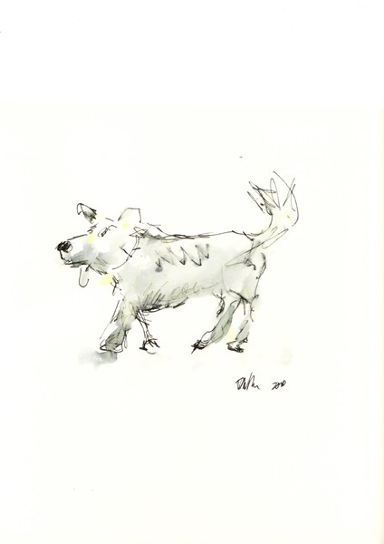dog2