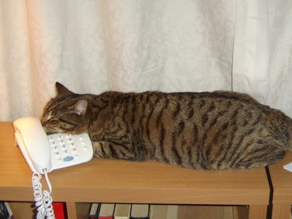Waiting for that call.......