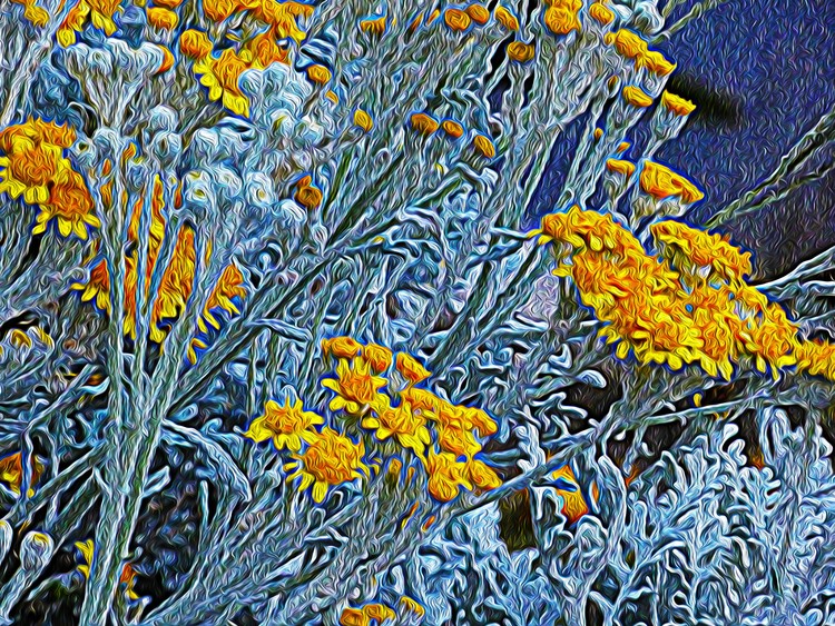 Bee Blossoms