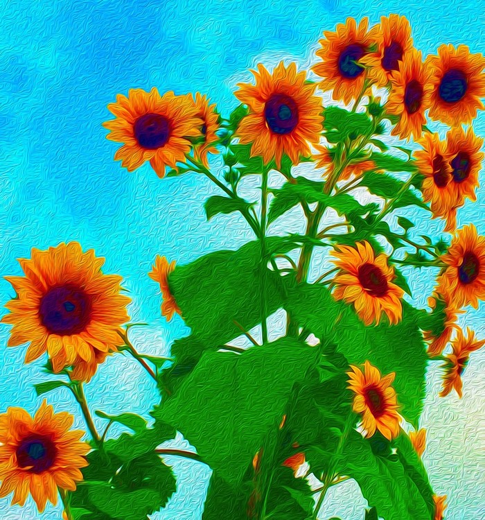 Natural Sunshine!
